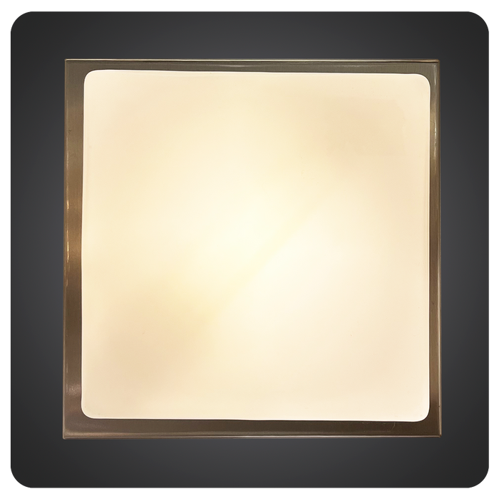 Square Frosted Glass Modern Ceiling Light 40-MT2366M/1C