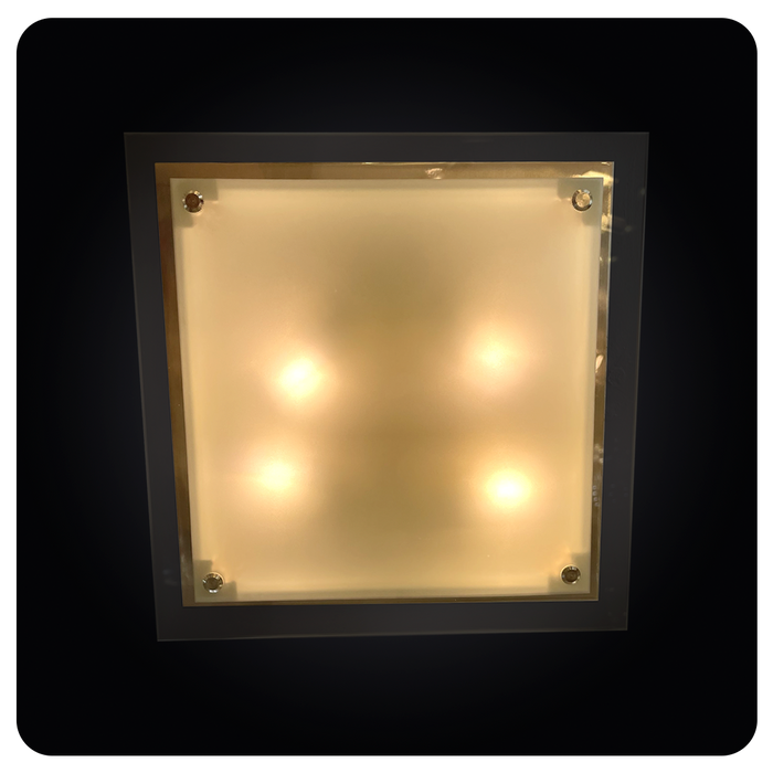 Elegant Glass Diffuser Square Ceiling Fixture 63-1001-24NM