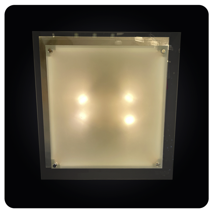 Modern Frosted Glass Square Ceiling LED Lamp 63-1001-30NM