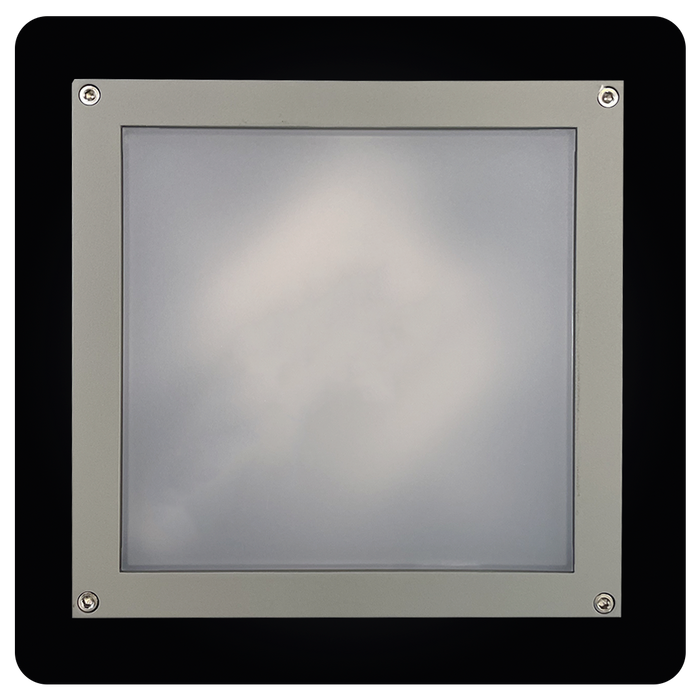 Rustic Metallic Frosted Glass Ceiling Lamp Elegance 63-1414-1PL
